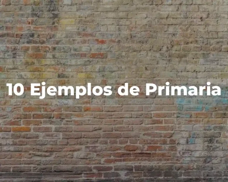 10 Ejemplos de Primaria
