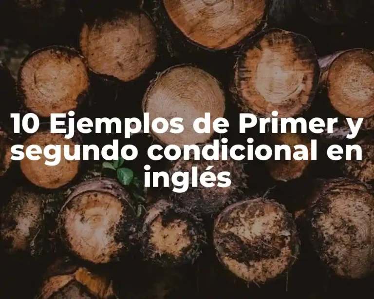 10 Ejemplos de Primer y segundo condicional en inglés