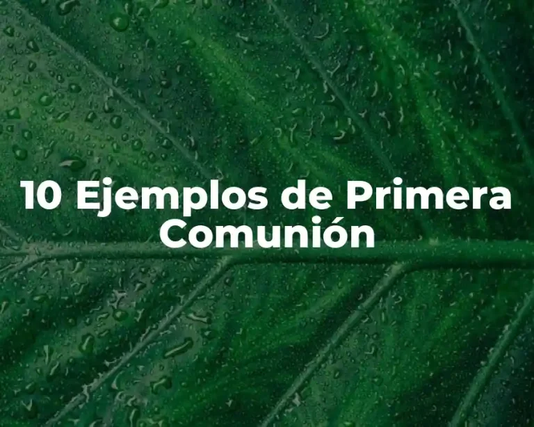 10 Ejemplos de Primera Comunión