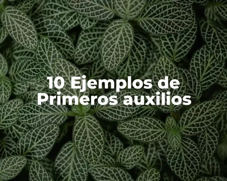 10 Ejemplos de Primeros auxilios