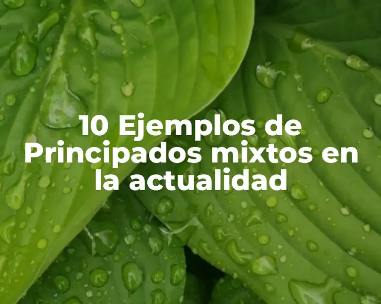 10 Ejemplos de Principados mixtos en la actualidad