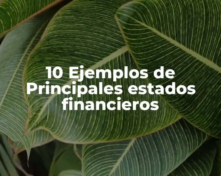 10 Ejemplos de Principales estados financieros
