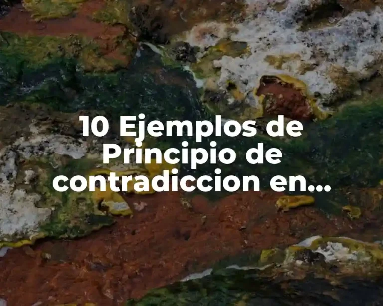 10 Ejemplos de Principio de contradiccion en derecho