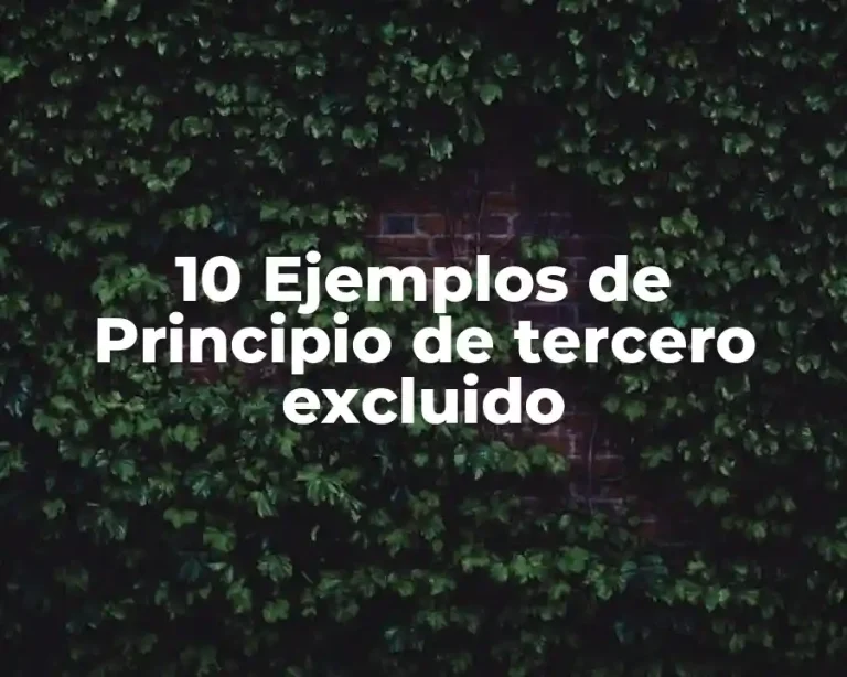10 Ejemplos de Principio de tercero excluido