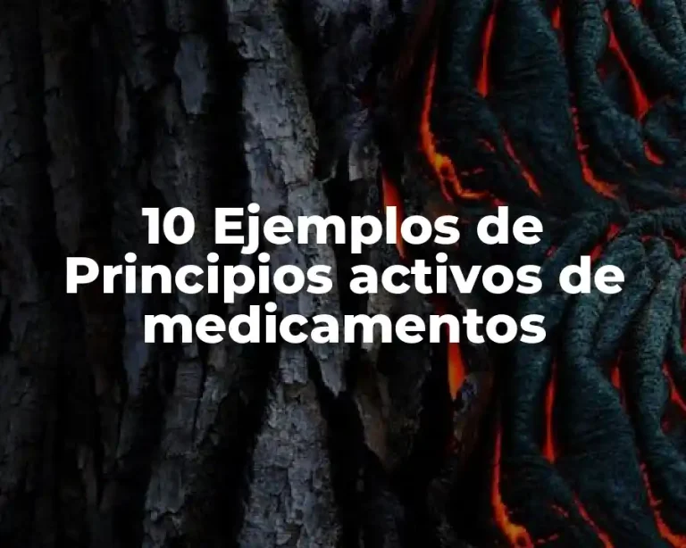 10 Ejemplos de Principios activos de medicamentos