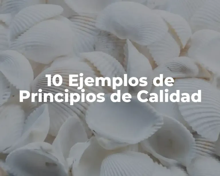 10 Ejemplos de Principios de Calidad