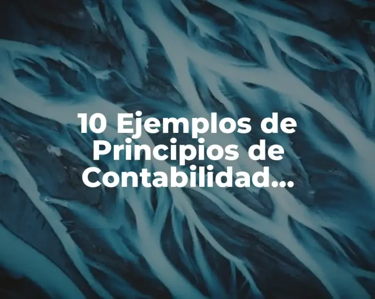 10 Ejemplos de Principios de Contabilidad Governamental