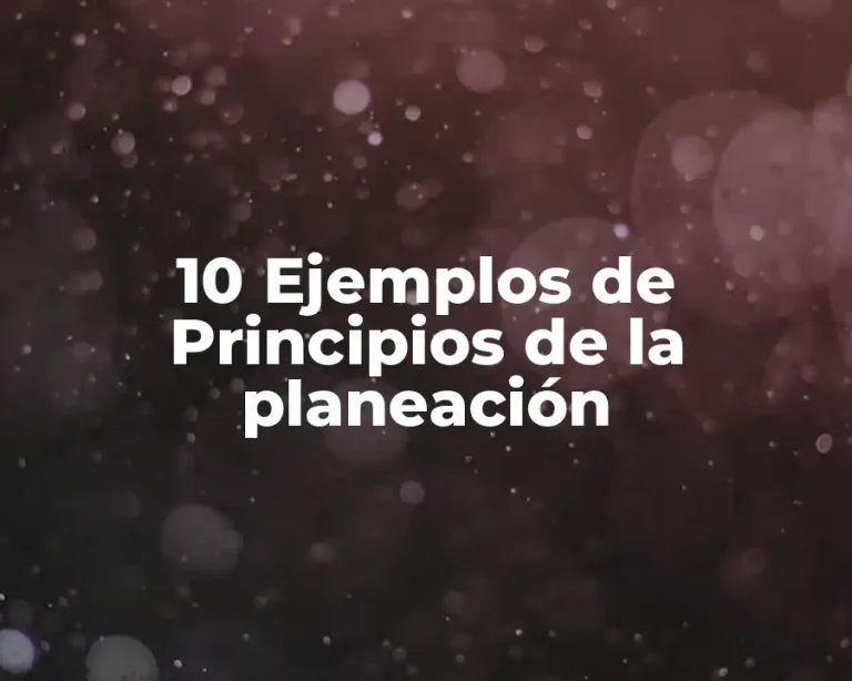 10 Ejemplos de Principios de la planeación
