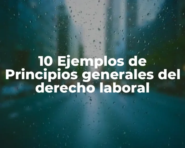 10 Ejemplos de Principios generales del derecho laboral