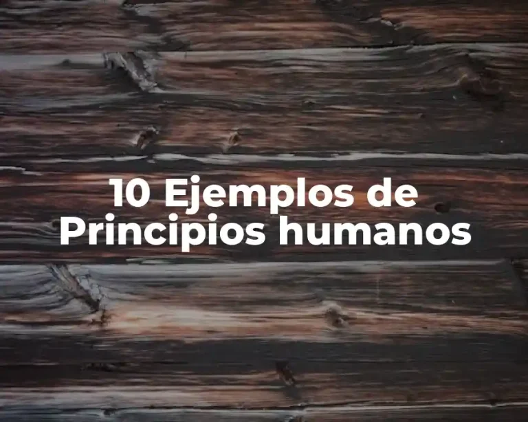 10 Ejemplos de Principios humanos