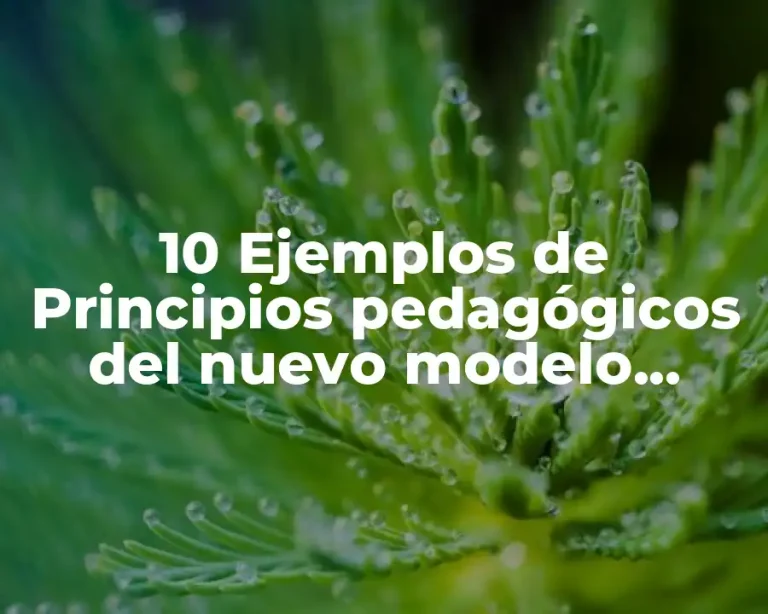10 Ejemplos de Principios pedagógicos del nuevo modelo educativo