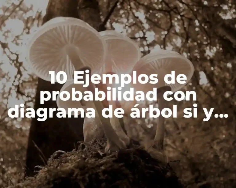 10 Ejemplos de probabilidad con diagrama de árbol si y no