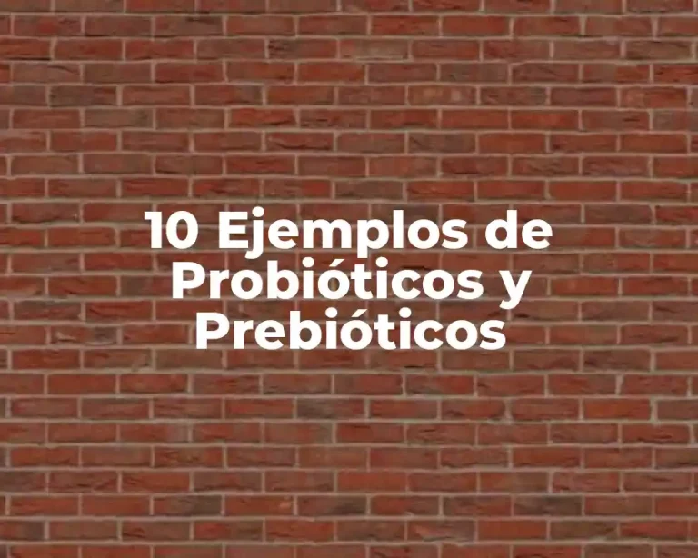 10 Ejemplos de Probióticos y Prebióticos