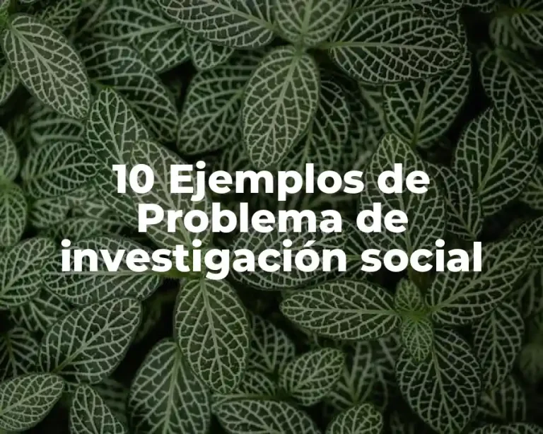 10 Ejemplos de Problema de investigación social