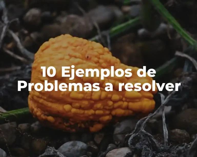 10 Ejemplos de Problemas a resolver