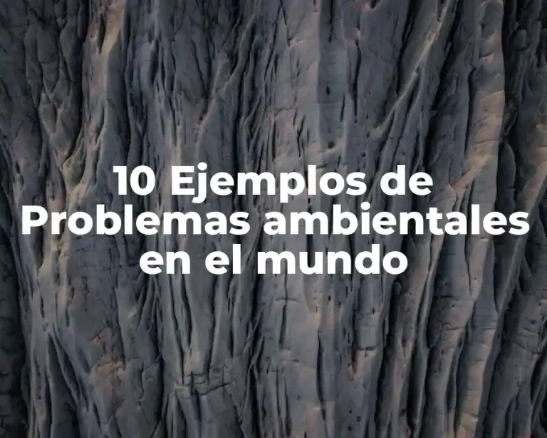 10 Ejemplos de Problemas ambientales en el mundo