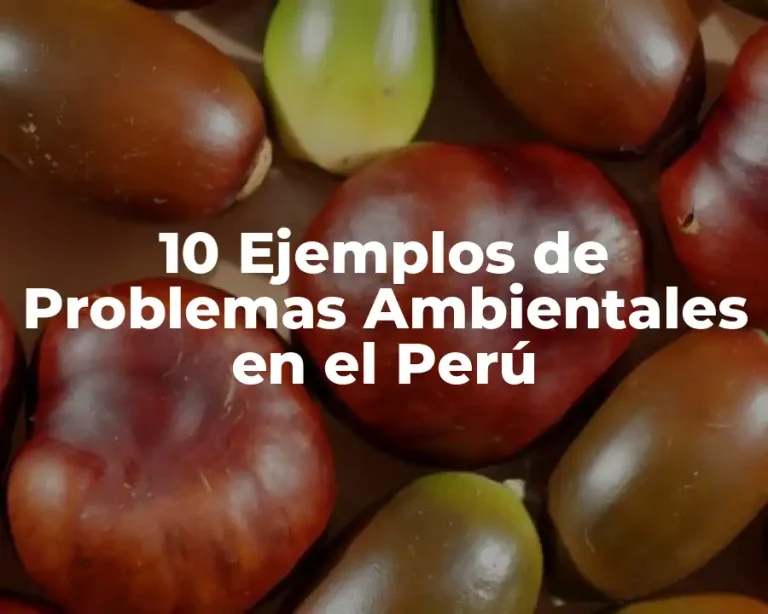 10 Ejemplos de Problemas Ambientales en el Perú