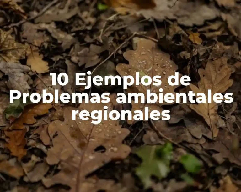10 Ejemplos de Problemas ambientales regionales