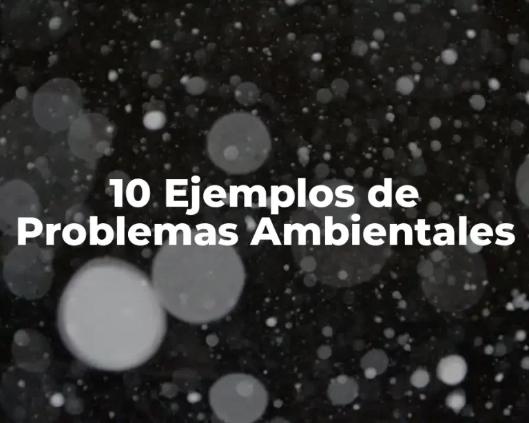 10 Ejemplos de Problemas Ambientales
