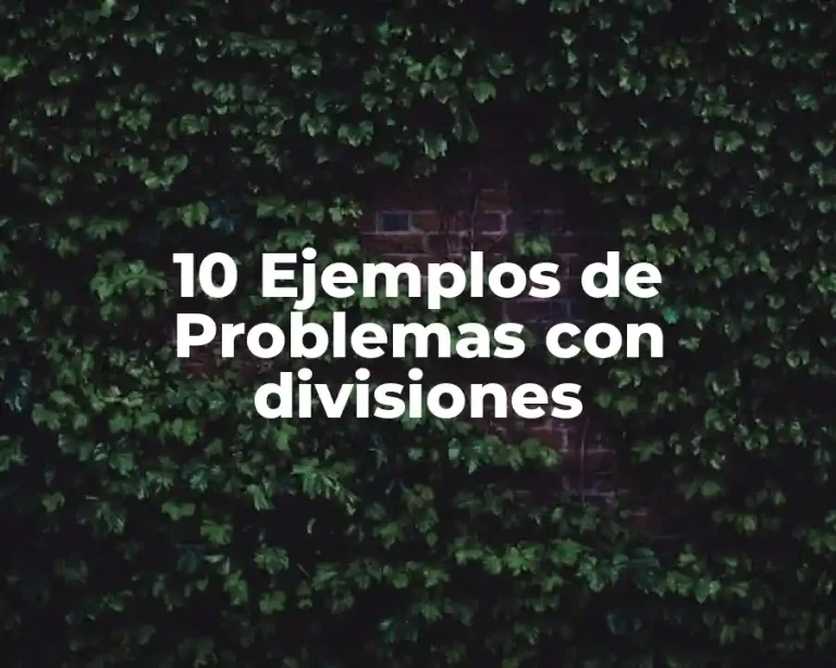 10 Ejemplos de Problemas con divisiones
