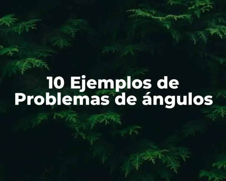 10 Ejemplos de Problemas de ángulos