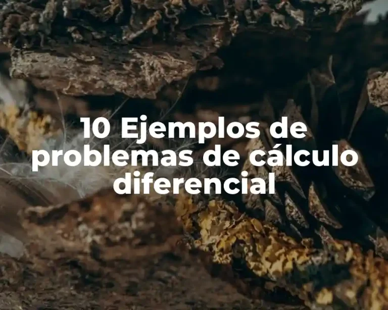 10 Ejemplos de problemas de cálculo diferencial