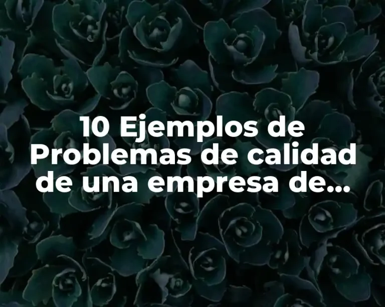 10 Ejemplos de Problemas de calidad de una empresa de alimentos