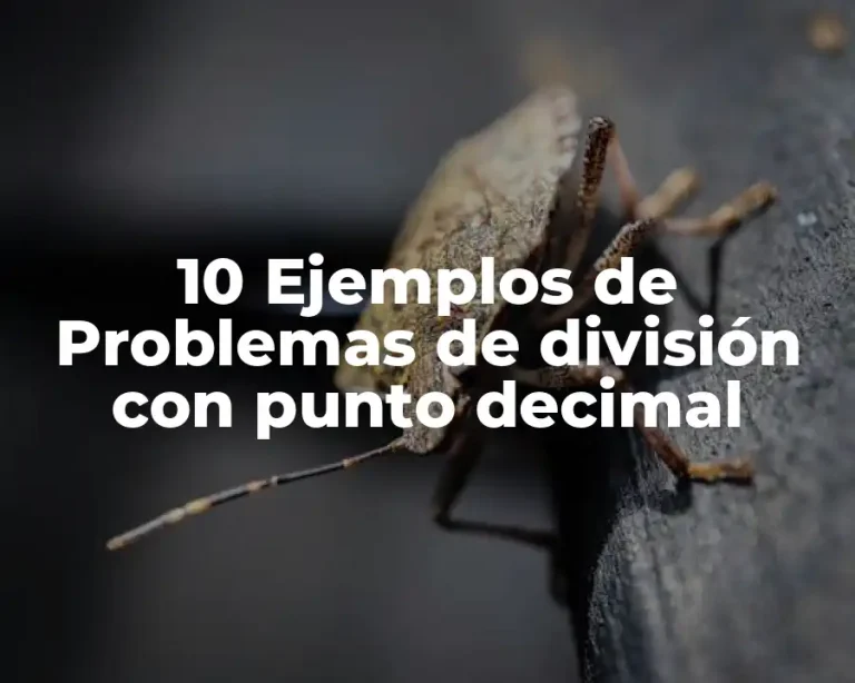 10 Ejemplos de Problemas de división con punto decimal