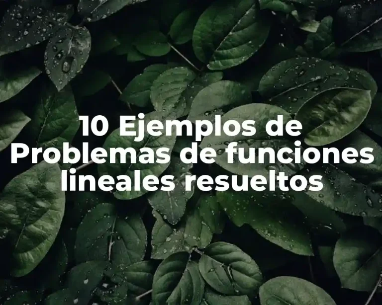 10 Ejemplos de Problemas de funciones lineales resueltos