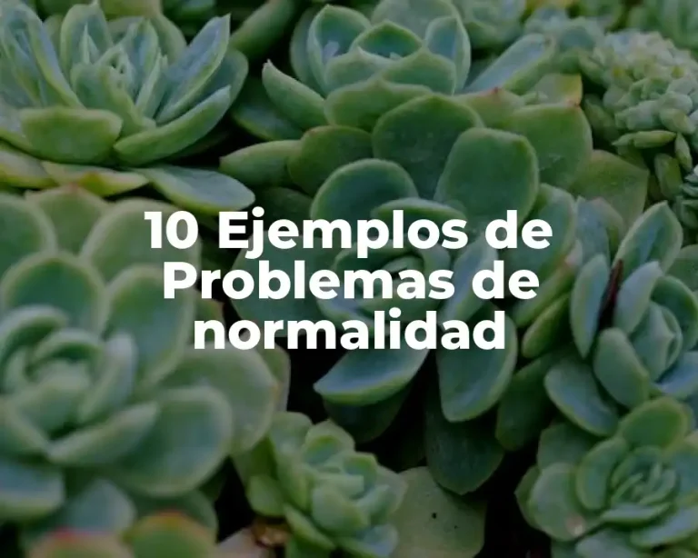 10 Ejemplos de Problemas de normalidad