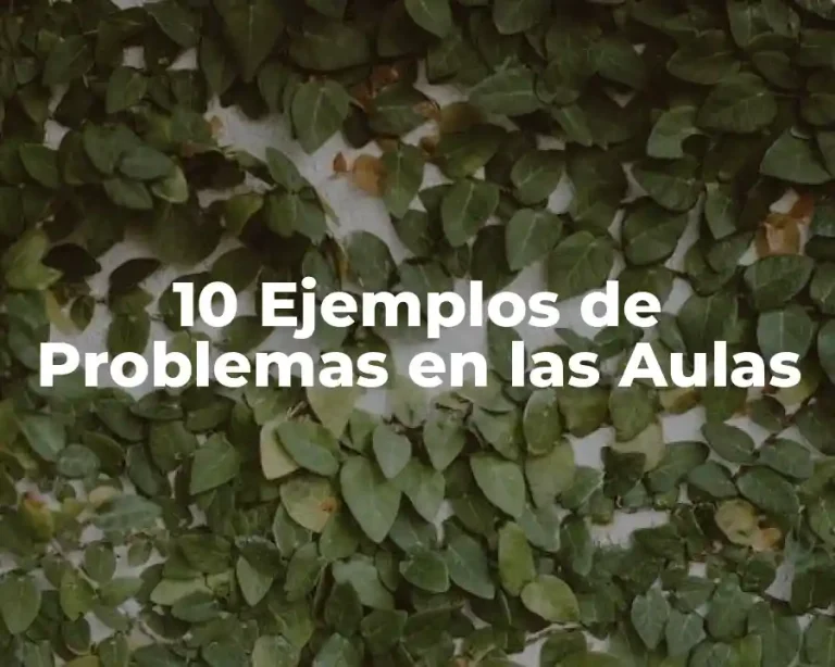 10 Ejemplos de Problemas en las Aulas