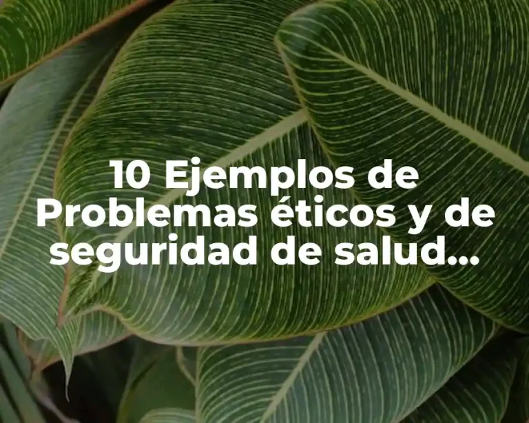 10 Ejemplos de Problemas éticos y de seguridad de salud informáticos
