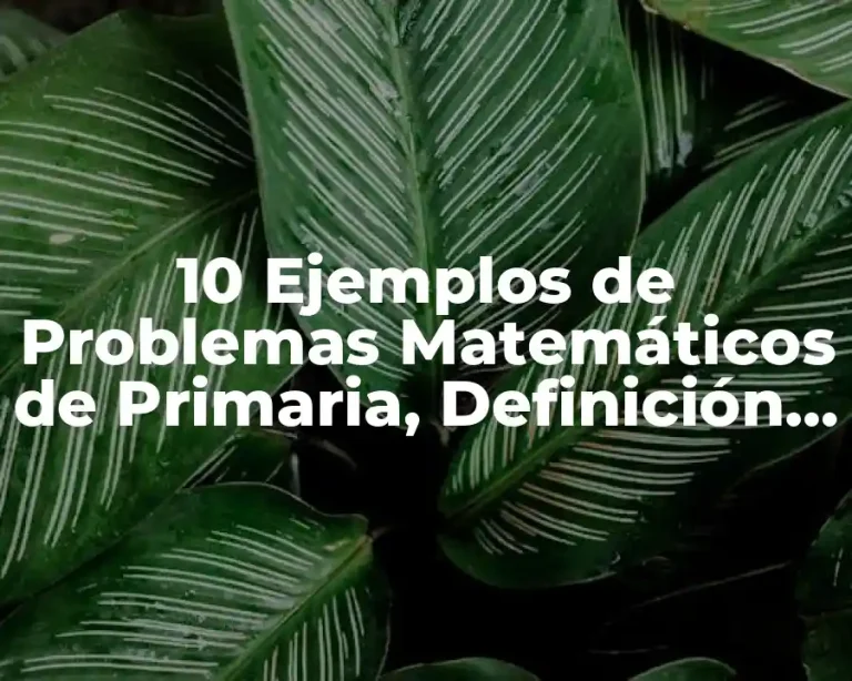 10 Ejemplos de   Problemas Matemáticos de Primaria, Definición, Diferencias y para que sirve