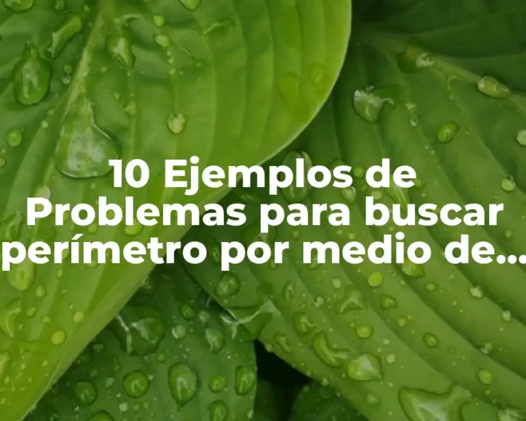 10 Ejemplos de Problemas para buscar perímetro por medio de ecuaciones