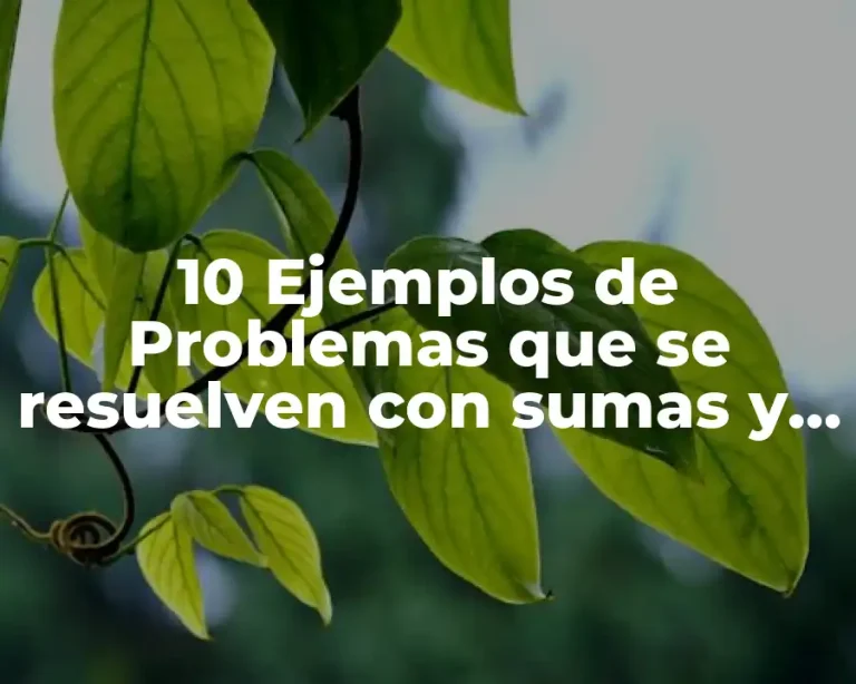 10 Ejemplos de Problemas que se resuelven con sumas y restas