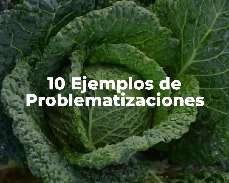 10 Ejemplos de Problematizaciones