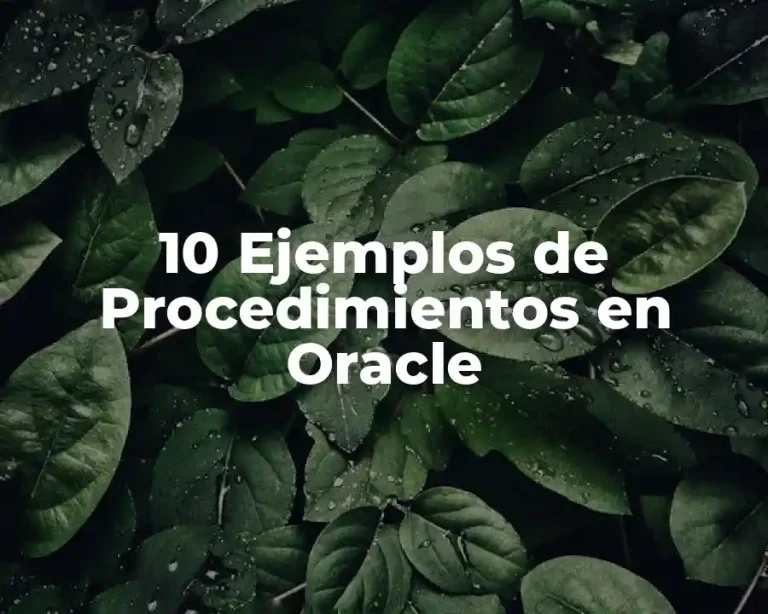 10 Ejemplos de Procedimientos en Oracle