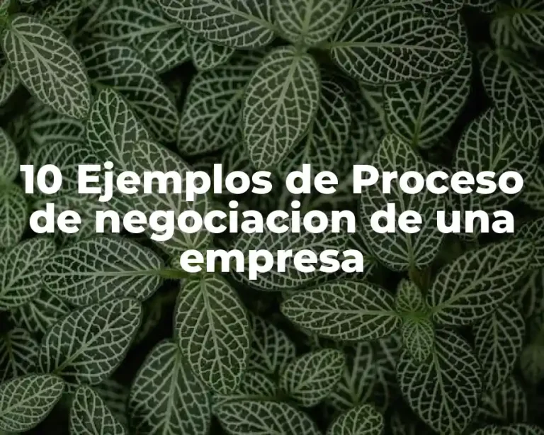 10 Ejemplos de Proceso de negociacion de una empresa