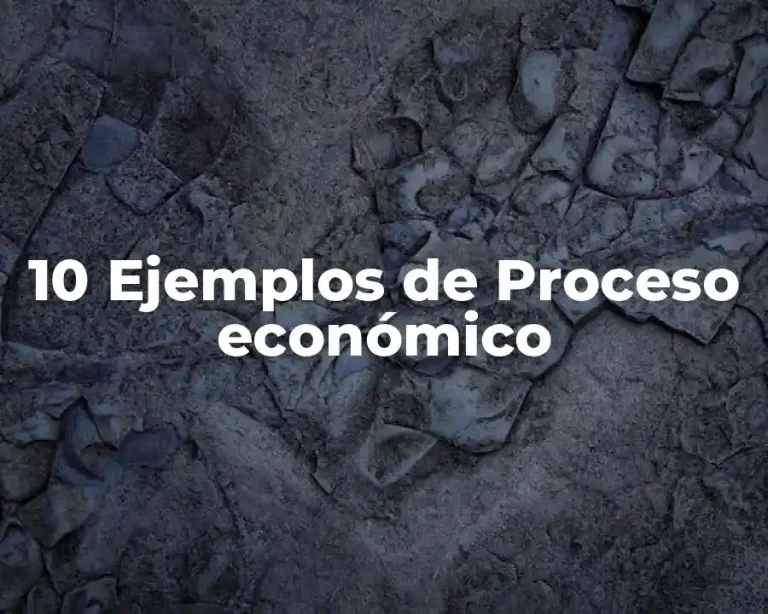 10 Ejemplos de Proceso económico