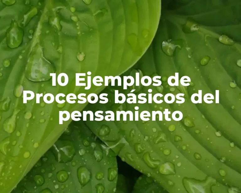 10 Ejemplos de Procesos básicos del pensamiento