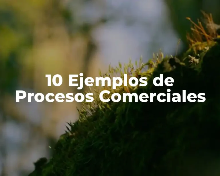 10 Ejemplos de Procesos Comerciales