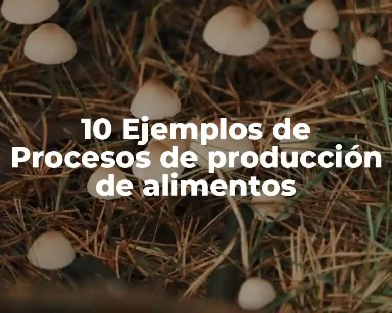 10 Ejemplos de Procesos de producción de alimentos