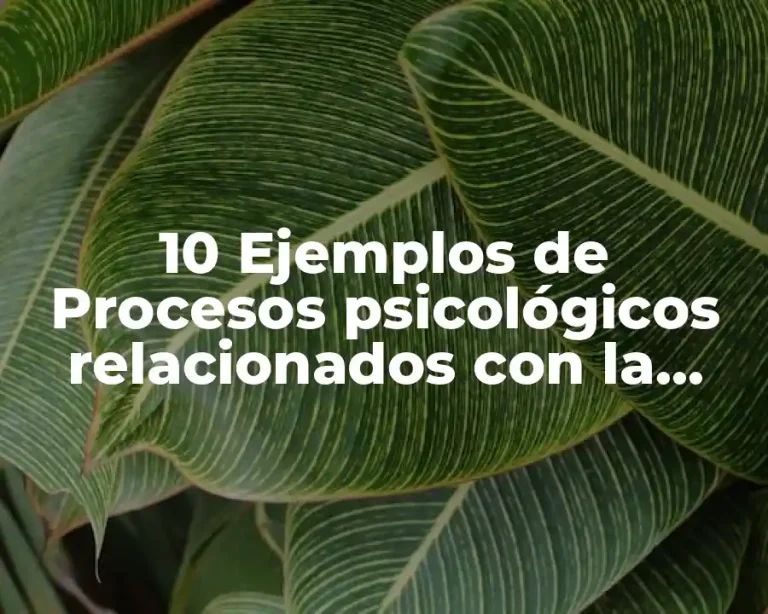 10 Ejemplos de Procesos psicológicos relacionados con la juventud actual