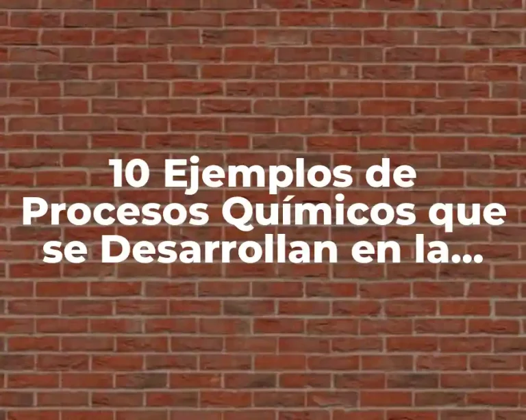 10 Ejemplos de Procesos Químicos que se Desarrollan en la Cocina