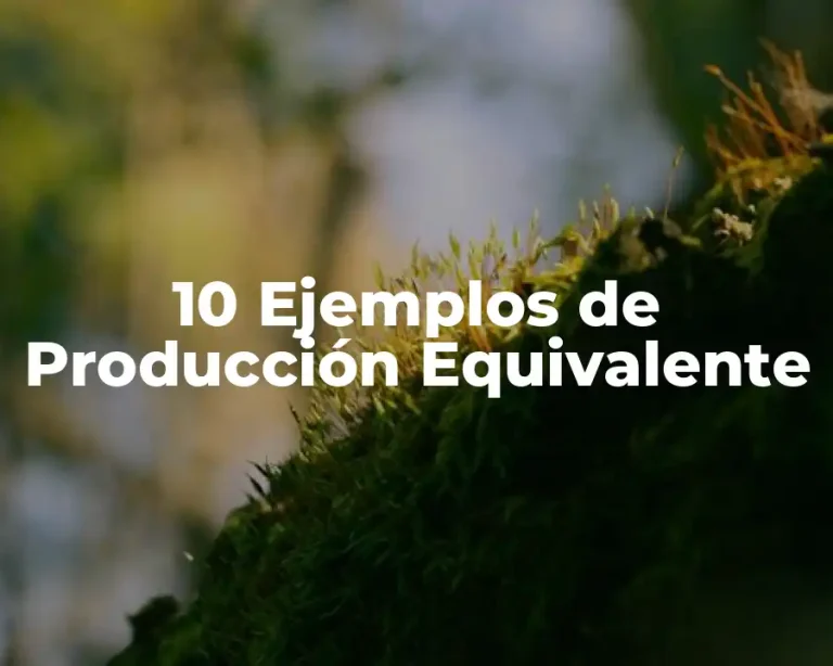 10 Ejemplos de Producción Equivalente
