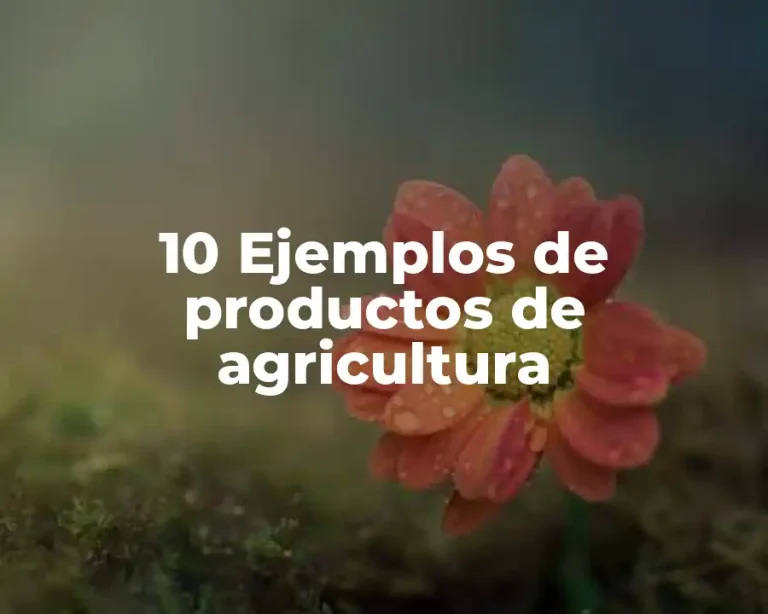 10 Ejemplos de productos de agricultura