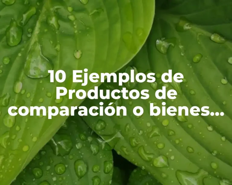 10 Ejemplos de Productos de comparación o bienes de compra comparada