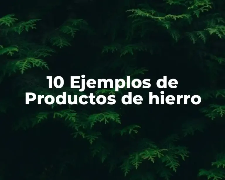 10 Ejemplos de Productos de hierro