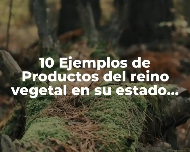 10 Ejemplos de Productos del reino vegetal en su estado natural