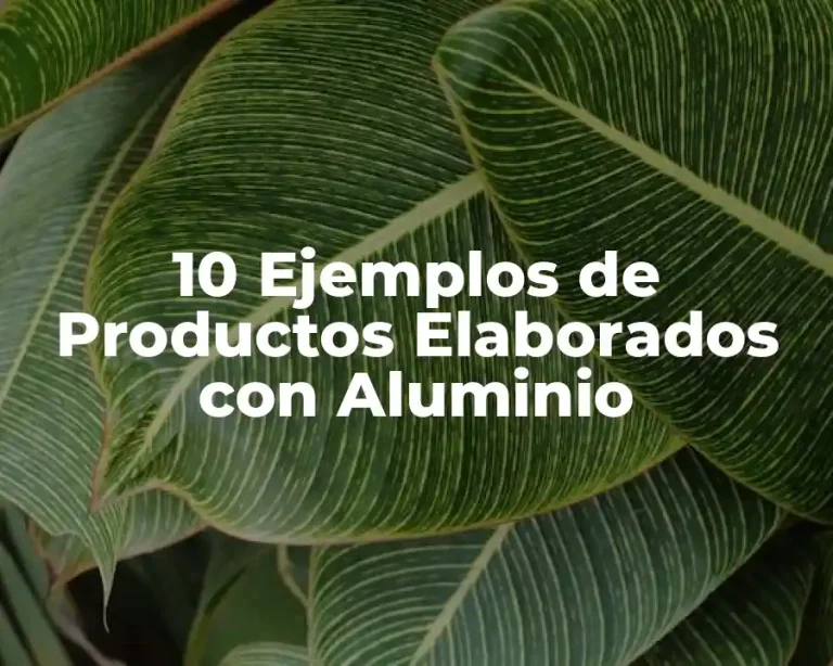 10 Ejemplos de Productos Elaborados con Aluminio